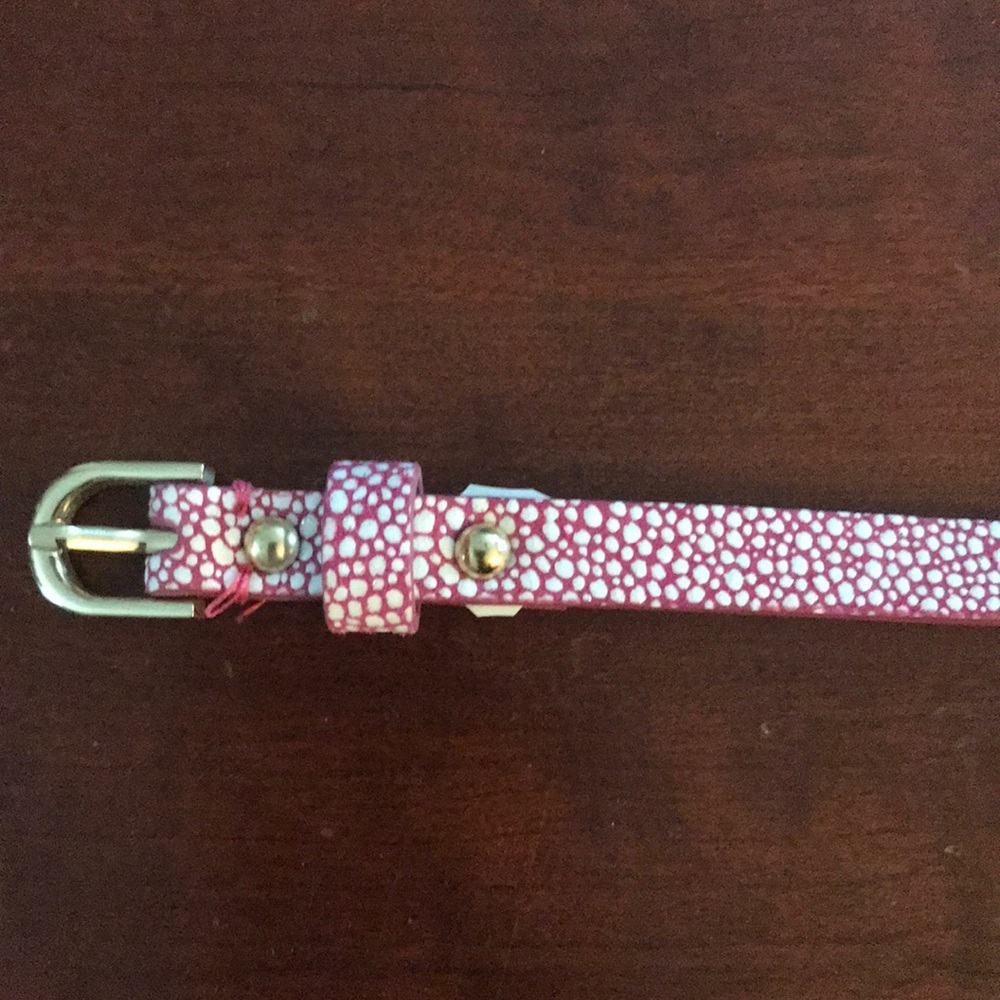 Ann Taylor Pink Skinny Belt